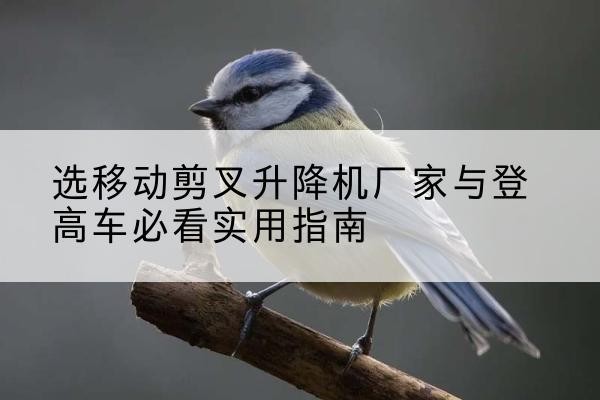 垦利电动升降机厂家-选移动剪叉升降机厂家与登高车必看实用指南