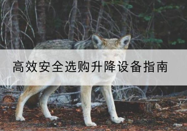 垦利升降货梯厂家推荐-*安全选购升降设备指南