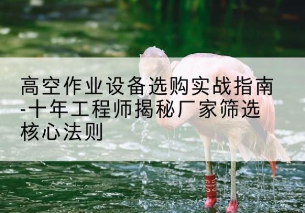 垦利剪叉式升降机厂家-高空作业设备选购实战指南-十年工程师揭秘厂家筛选核心法则